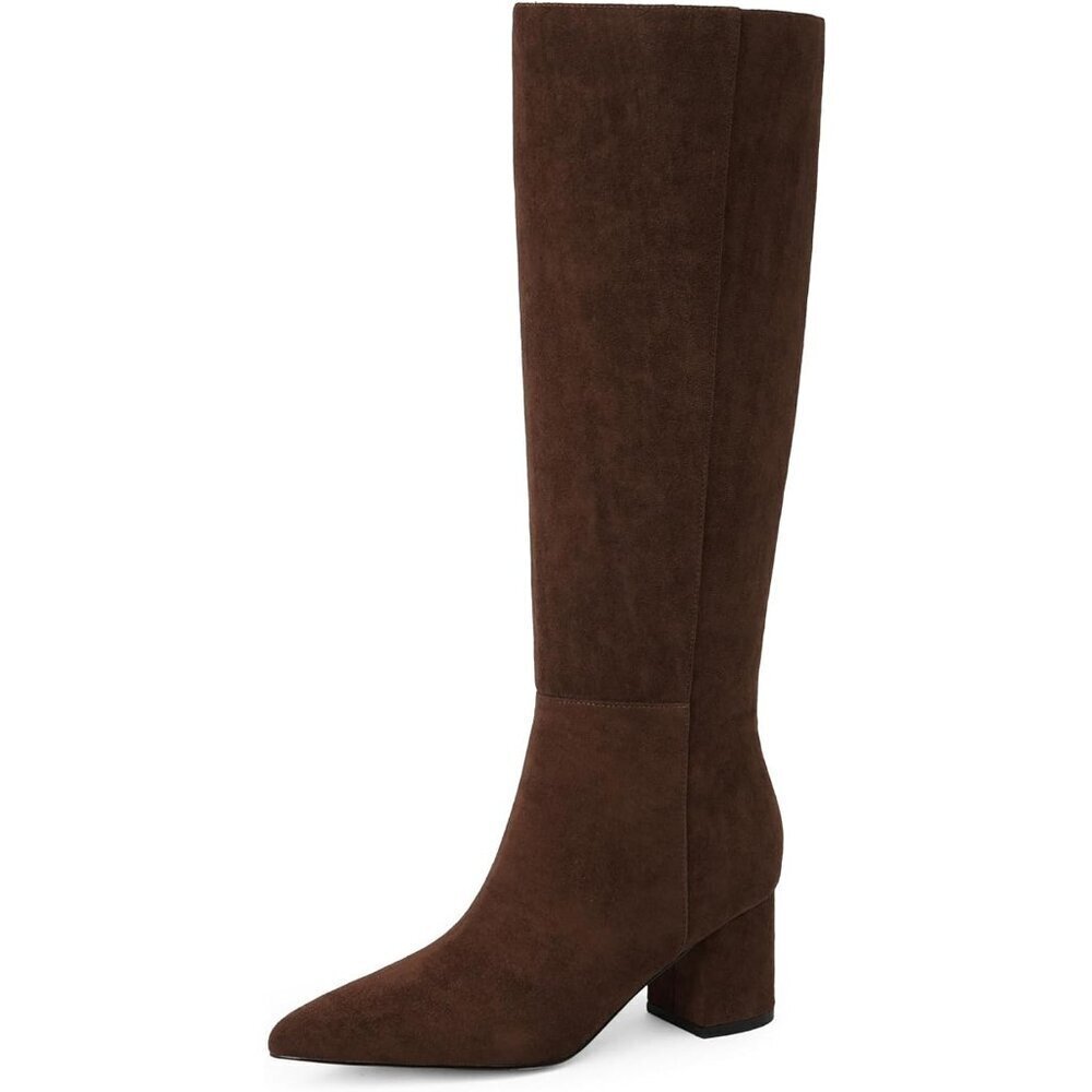 Women's Dark Brown Suede Chunky Heel Knee High Pointed Toe Side Zipper Long Boot